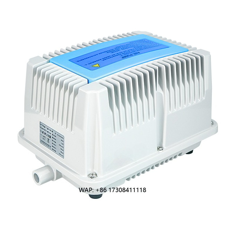 115V autoluchtcompressor/ 220V - Car Vacuum recensie en prijs