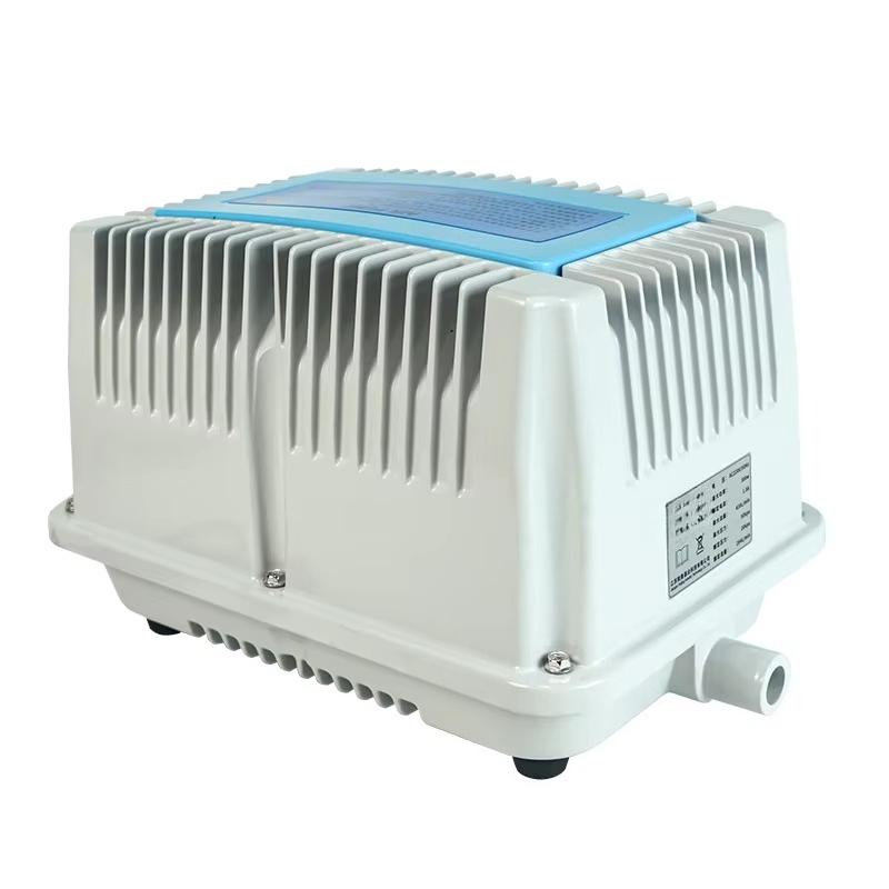 115V autoluchtcompressor/ 220V - Car Vacuum recensie en prijs
