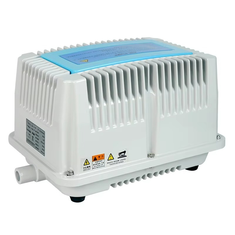 115V autoluchtcompressor/ 220V - Car Vacuum recensie en prijs